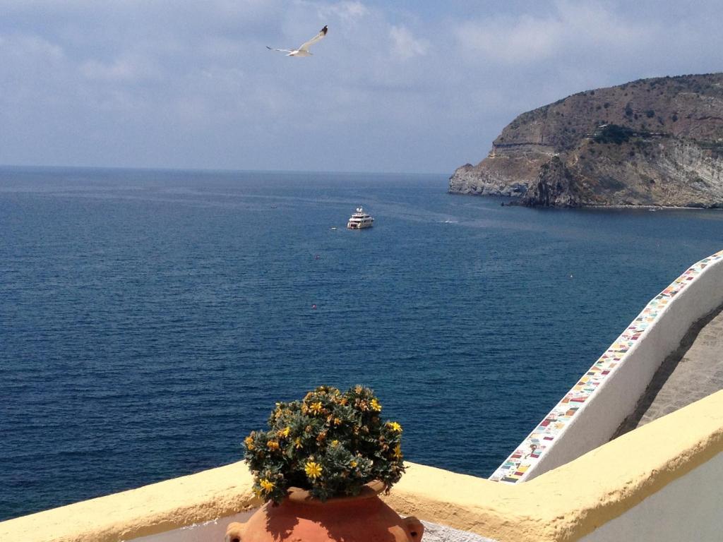 Appartamenti Casa Del Sole Sant'Angelo  Екстериор снимка